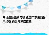 今日最新更新内容 直击广东迎战台风马鞍 预警升级成橙色