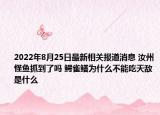 2022年8月25日最新相关报道消息 汝州怪鱼抓到了吗 鳄雀鳝为什么不能吃天敌是什么