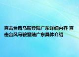 直击台风马鞍登陆广东详细内容 直击台风马鞍登陆广东具体介绍