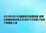 2022年8月25日最新相关报道消息 晚餐与体重和寿命的关系幸好今天知道了吃错了疾病找上身