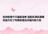 杭州疫情今天最新消息 富阳东洲街道哪些地方封了吗具体情况详细内容介绍