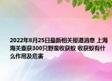 2022年8月25日最新相关报道消息 上海海关查获300只野蛮收获蚁 收获蚁有什么作用及危害