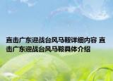 直击广东迎战台风马鞍详细内容 直击广东迎战台风马鞍具体介绍