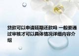 贷款可以申请延期还款吗 一般要通过审核才可以具体情况详细内容介绍
