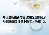 今日最新更新内容 汝州怪鱼抓到了吗 鳄雀鳝为什么不能吃天敌是什么