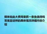 媒体如此大费周章抓一条鱼值得吗 答案是这样的具体情况详细内容介绍