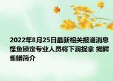 2022年8月25日最新相关报道消息 怪鱼锁定专业人员将下洞捉拿 揭鳄雀鳝简介