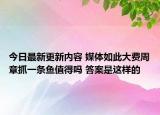 今日最新更新内容 媒体如此大费周章抓一条鱼值得吗 答案是这样的
