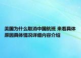 美国为什么取消中国航班 来看具体原因具体情况详细内容介绍