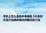 手机上怎么查询养老保险 5大查询方法介绍具体情况详细内容介绍