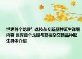 世界首个龙眼与荔枝杂交新品种诞生详细内容 世界首个龙眼与荔枝杂交新品种诞生具体介绍