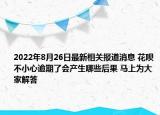 2022年8月26日最新相关报道消息 花呗不小心逾期了会产生哪些后果 马上为大家解答