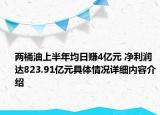 两桶油上半年均日赚4亿元 净利润达823.91亿元具体情况详细内容介绍