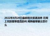 2022年8月26日最新相关报道消息 在网上买的裴翠是真的吗 网购翡翠要注意什么