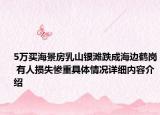5万买海景房乳山银滩跌成海边鹤岗 有人损失惨重具体情况详细内容介绍