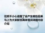 花呗不小心逾期了会产生哪些后果 马上为大家解答具体情况详细内容介绍
