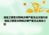 湖南卫健委刘翔峰涉嫌严重违法详细内容 湖南卫健委刘翔峰涉嫌严重违法具体介绍