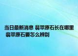当日最新消息 翡翠原石长在哪里 翡翠原石要怎么辨别