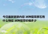 今日最新更新内容 冰种翡翠原石有什么特征 冰种翡翠价格多少