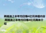 两桶油上半年均日赚4亿元详细内容 两桶油上半年均日赚4亿元具体介绍