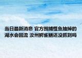 当日最新消息 官方围捕怪鱼抽掉的湖水会回流 汝州鳄雀鳝还没抓到吗