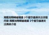 湘雅刘翔峰被调查 2个细节值得关注详细内容 湘雅刘翔峰被调查 2个细节值得关注具体介绍