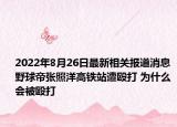 2022年8月26日最新相关报道消息 野球帝张照洋高铁站遭殴打 为什么会被殴打