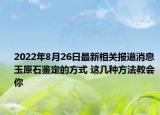 2022年8月26日最新相关报道消息 玉原石鉴定的方式 这几种方法教会你