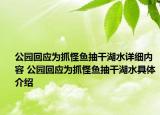 公园回应为抓怪鱼抽干湖水详细内容 公园回应为抓怪鱼抽干湖水具体介绍