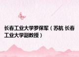 长春工业大学罗保军（苏航 长春工业大学副教授）