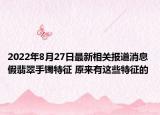 2022年8月27日最新相关报道消息 假翡翠手镯特征 原来有这些特征的