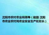 沈阳市农村农业局领导（赵璐 沈阳市农业农村局农业安全生产处处长）