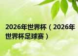 2026年世界杯（2026年世界杯足球赛）