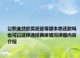 公积金贷款买房是等额本息还款吗 也可以这样选择具体情况详细内容介绍