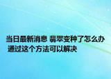 当日最新消息 翡翠变种了怎么办 通过这个方法可以解决