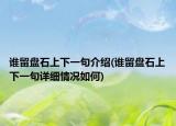 谁留盘石上下一句介绍(谁留盘石上下一句详细情况如何)