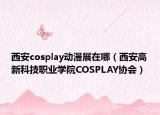 西安cosplay动漫展在哪（西安高新科技职业学院COSPLAY协会）