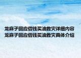 龙麻子回应借钱买油救灾详细内容 龙麻子回应借钱买油救灾具体介绍