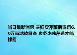 当日最新消息 夫妇卖芹菜后遭罚6.6万当地被督查 卖多少吨芹菜才能挣回