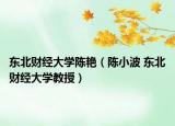 东北财经大学陈艳（陈小波 东北财经大学教授）