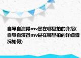 自导自演得mv是在哪里拍的介绍(自导自演得mv是在哪里拍的详细情况如何)