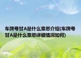 车牌号甘A是什么意思介绍(车牌号甘A是什么意思详细情况如何)