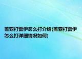 盖亚打雷伊怎么打介绍(盖亚打雷伊怎么打详细情况如何)