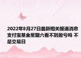 2022年8月27日最新相关报道消息 支付宝基金星期六看不到盈亏吗 不是交易日