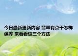 今日最新更新内容 翡翠有点干怎样保养 来看看这三个方法