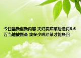 今日最新更新内容 夫妇卖芹菜后遭罚6.6万当地被督查 卖多少吨芹菜才能挣回