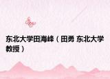 东北大学田海峰（田勇 东北大学教授）