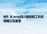 林R  & amp四川德恩精工科技有限公司董事