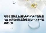 青海也现怪鱼鱼塘损失1500多斤鱼详细内容 青海也现怪鱼鱼塘损失1500多斤鱼具体介绍