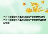 为什么琥珀可以告诉我们远古生物的秘密介绍(为什么琥珀可以告诉我们远古生物的秘密详细情况如何)